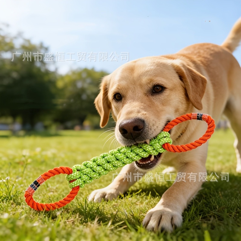 Haustierspielzeug aus Baumwoll – Corn Dog Stick Bewertung und Preis