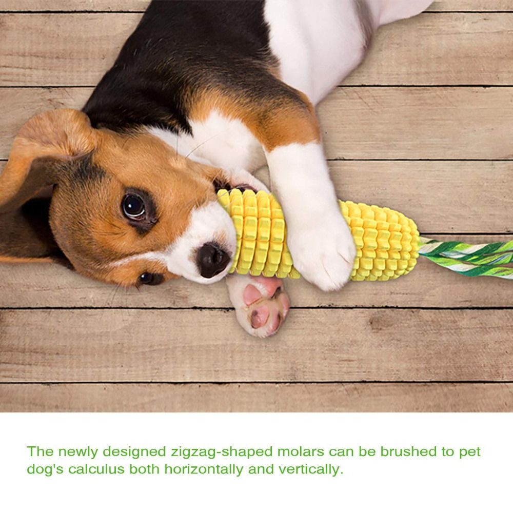 Robuster Gummi-Hundekauknochen – Corn Dog Stick Bewertung und Preis