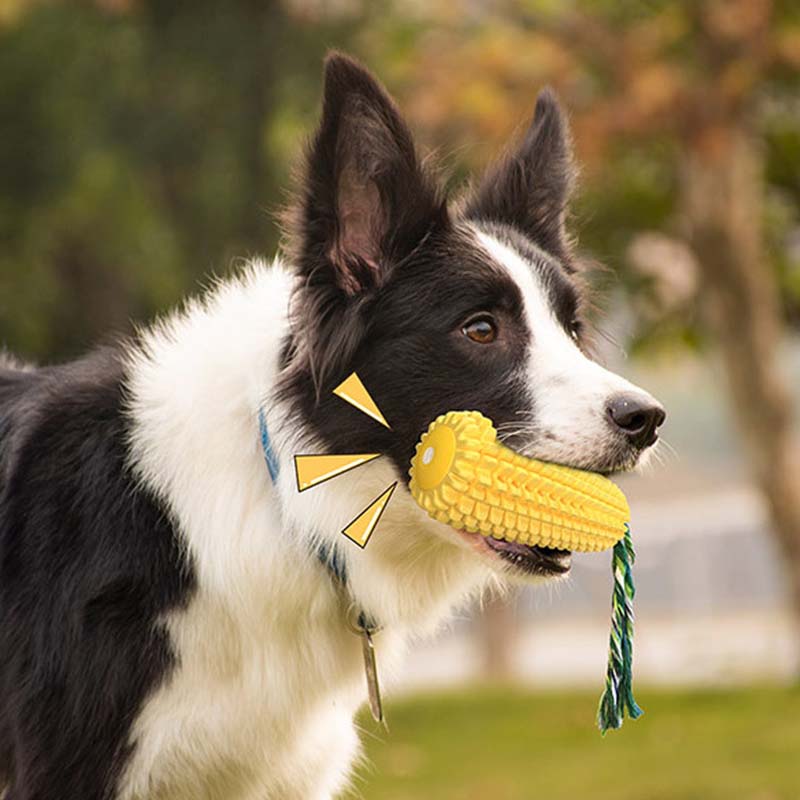 Maisförmiges Quietschspielzeug – Corn Dog Stick Bewertung und Preis